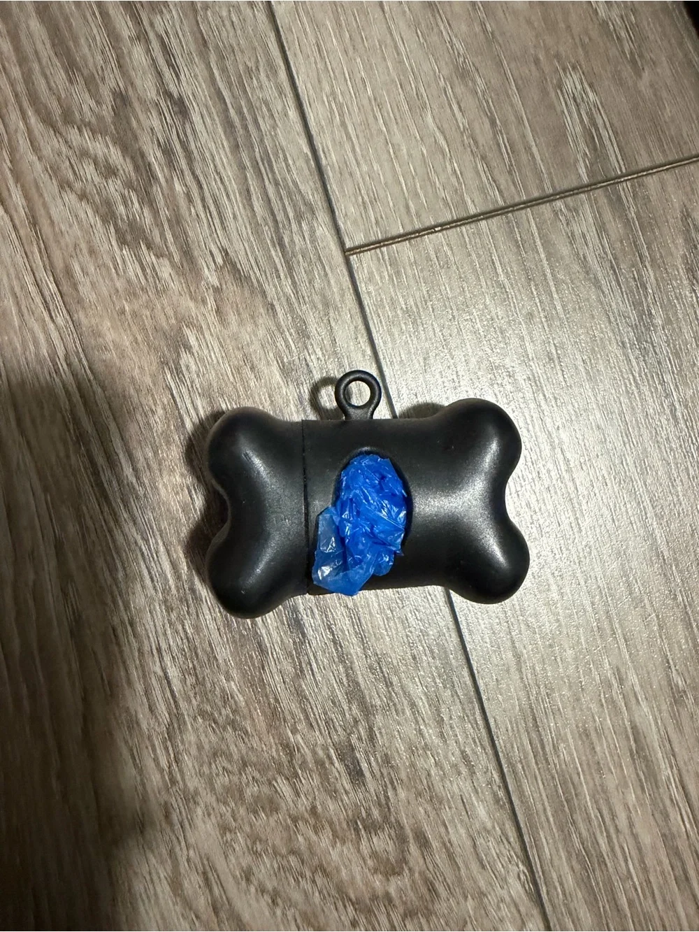 Lot of dog leashes